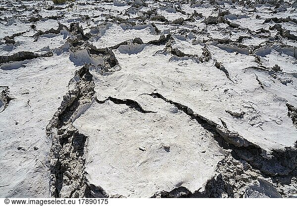 Dürre Schlammmuster mit Rissen im Boden  Klimawandel. Etosha-Nationalpark  Namibia  Afrika