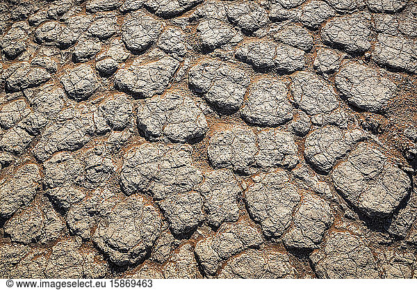 Dürre  Sossusvlei  Namib-Wüste  Namib-Naukluft-Nationalpark; Namibia