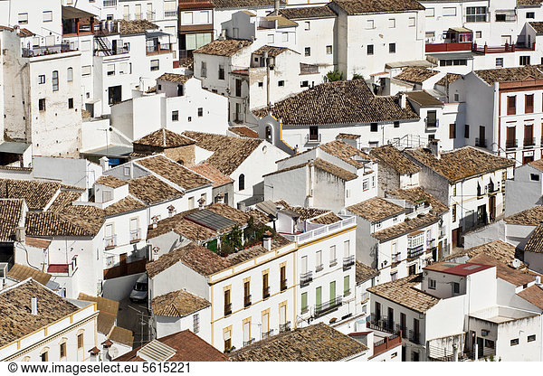 Dach, Europa, über, Ansicht, Andalusien, Spanien