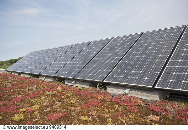 Dach Energie energiegeladen Sonnenkollektor Sonnenenergie Tisch Photovoltaik