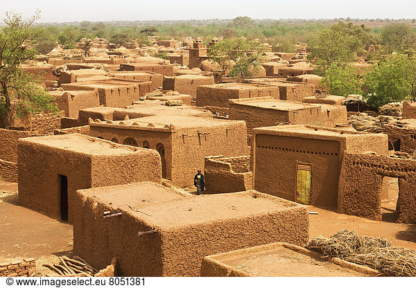Dach  Freitag  Erde  Wahrzeichen  Moschee  Niger
