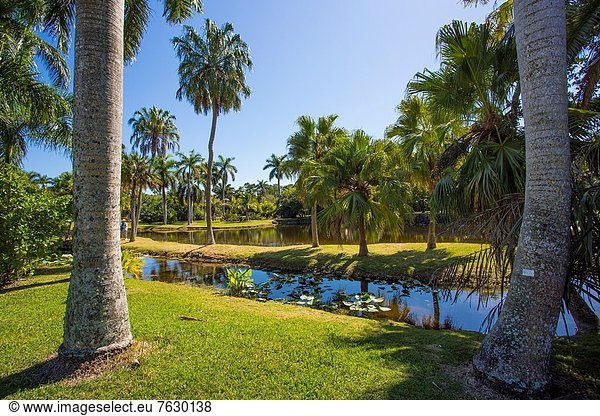 Dachgiebel Giebel Tropisch Tropen subtropisch Garten Zimmer Botanik Florida Miami