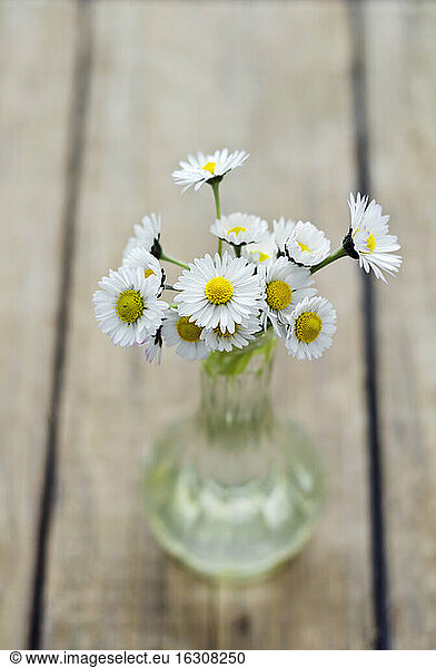 Daisies in vase on wooden table  close up