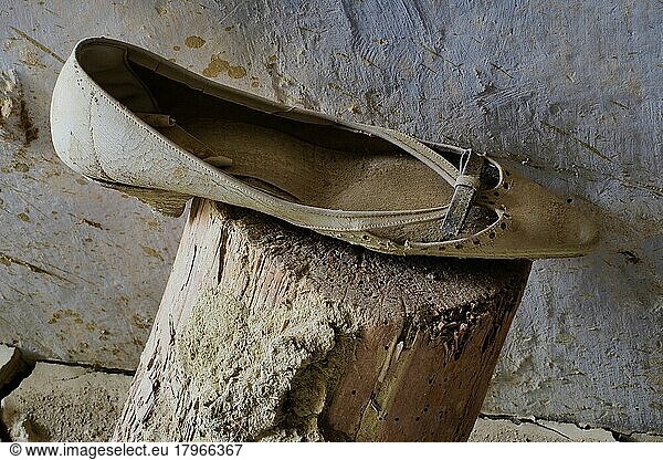 Damenschuh mit Schleife auf Holzstamm  maroder Schuh aus Leder steht auf Holz  verrotteter Schuh  Schuhwrack  vergammelter Treter  ausgelatschter Schuh  abgetragener Schuh  alter Schuh