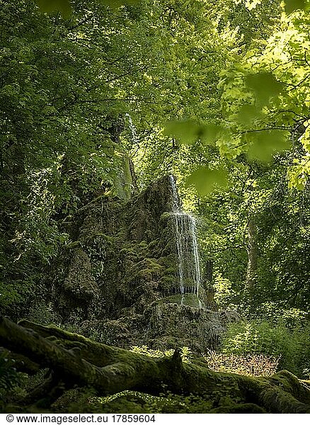 Damp  moss  forest  water  Gütersteiner waterfall  Bad Urach  Swabian Alb  Germany  Europe