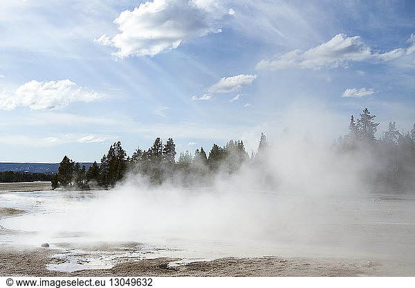 Dampf aus einer heißen Quelle im Yellowstone-Nationalpark