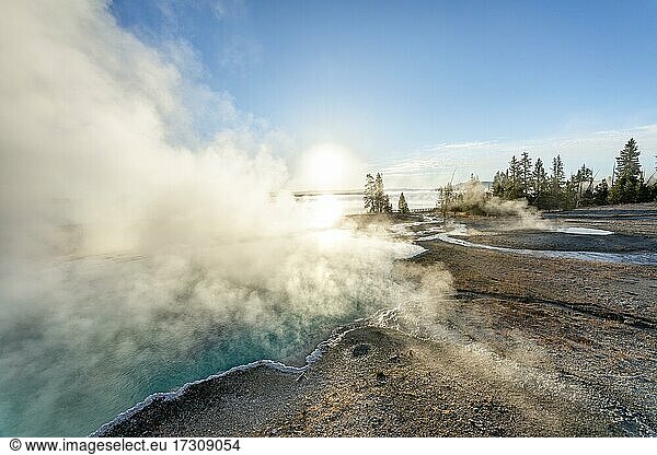 Dampfende heiße Quellen mit türkisem Wasser in der Morgensonne  Black Pool  West Thumb Geyser Basin  Yellowstone National Park  Wyoming  USA  Nordamerika