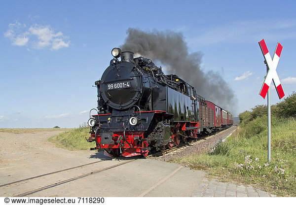 Dampfzug der Selketalbahn bei Quarmbeck  Harz  Sachsen-Anhalt  Deutschland  Europa