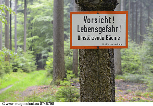 Danger sign  Fallen Trees  Forest  Spessart  Bavaria  Germany  Europe