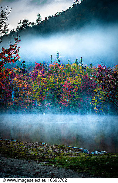 Dark moody and foggy autumn scene in the White Mountains of NH.