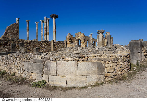 Das Capitol  römische Ruinen  Volubilis  UNESCO Weltkulturerbe  Marokko  Nordafrika  Afrika