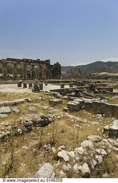Das Forum in der römischen Ausgrabungsstätte Volubilis  UNESCO Weltkulturerbe  MeknËs  MeknËs-Tafilalet  Königreich Marokko  Maghreb  Afrika