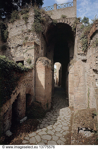 Das Forum Romanum  der Zugang zum Flavischen Palast auf dem Palatinhügel. Italien. Römisch.