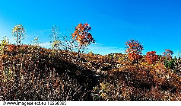 Das große Hinggan-Gebirge in der Provinz Heilongjiang steht in Flammen