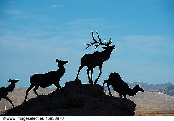 Das National Museum of Wildlife Art in Jackson  Wyoming  beherbergt mehr als 5000 Kunstwerke  die Wildtiere aus aller Welt darstellen.