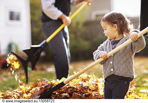 Daughter and father cleaning leaves from field