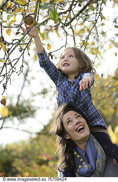 Daughter sitting on shoulders of her mother, reaching apple