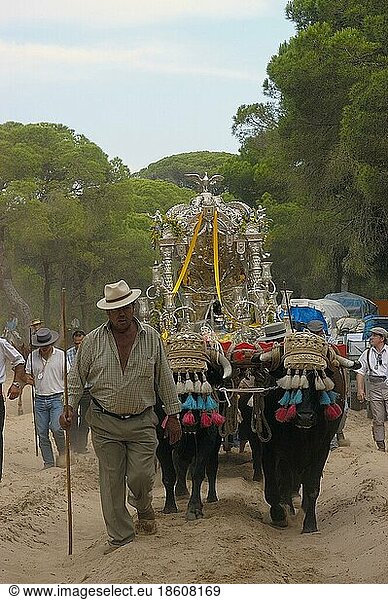 Decorated ox cart  Romeria pilgrimage to El Rocio  Almonte  Huelva  Andalusia  Spain  ox cart  Europe