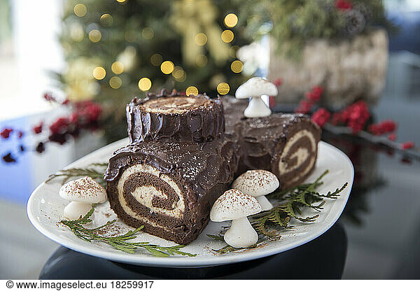 Decorated yule log with christmas tree in the background