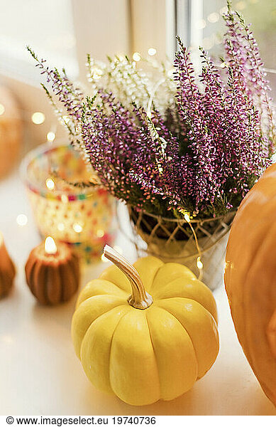 Decoration of pumpkins and flowers with lights on Halloween