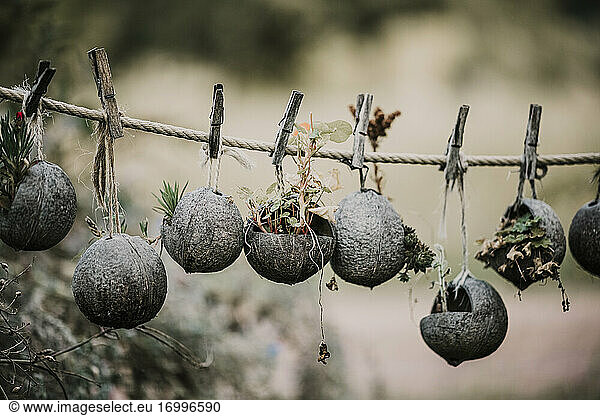 Decoration on coconut shell on rope