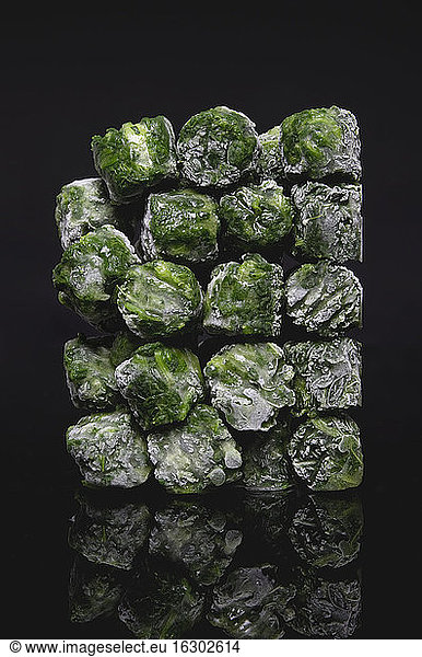Deep frozen spinach  close up