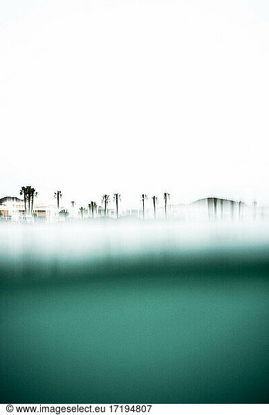 defocused palm trees seen from the sea  plane inside the water