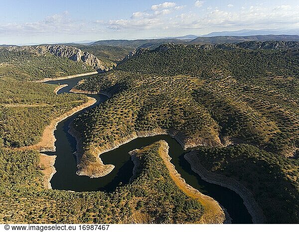Dehesa  Steineichen und Fluss  Nationalpark Monfragüe  Extremadura  Spanien  Nationalpark Monfragüe  Extremadura  Spanien  Europa