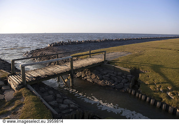 Deichvorland auf der Insel Nordstrand  Steg über die kleinen Entwässerungsgräben  Schleswig-Holstein  Norddeutschland  Deutschland  Europa