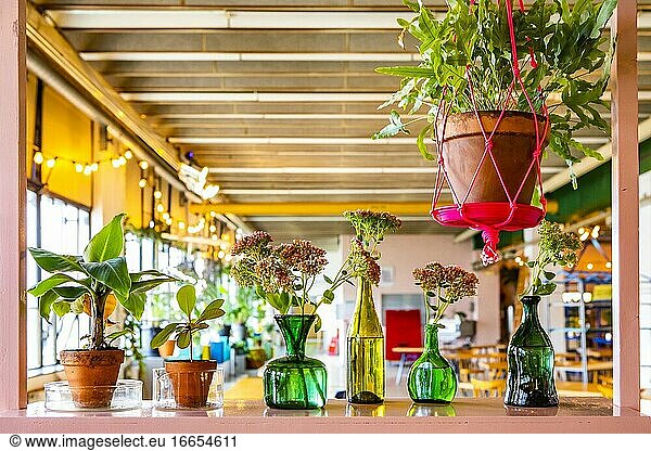 Dekoration mit Blumen und Pflanzen in einem Restaurant in den Niederlanden  Europa.