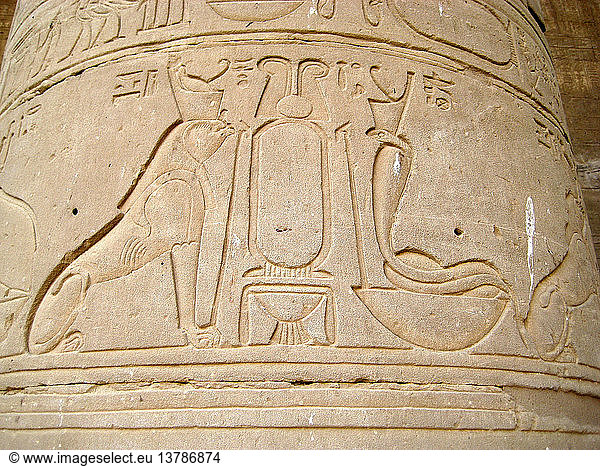 Dekorativer Fries auf einer Säule an der westlichen Kolonnade des Opferhofs. Er zeigt zwei königliche Symbole  einen falkenköpfigen Löwen und eine Kobra. Ägypten. Altägyptisch. Spätzeit  zwischen der Herrschaft von Ptolemäus III XII  246 51 v. Chr. Edfu.