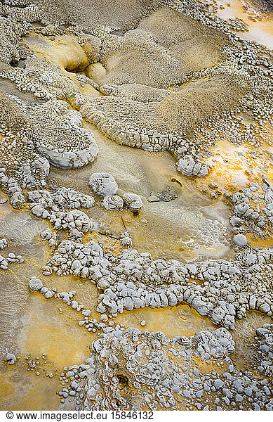Delicate sinter formations and run-off channels around Anemone Geyser