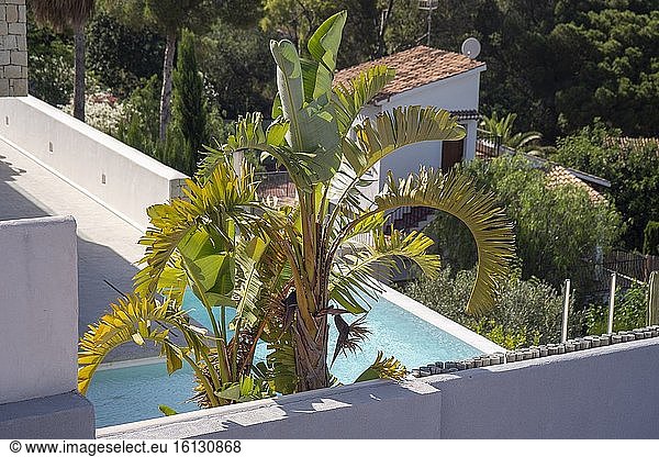 Denia Alicante Spanien am 25. Juni 2020: Mediterrane Villa mit Schwimmbad in Luxus-Wohnungen Zustand.