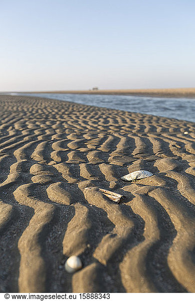 Denmark  Romo  Rippled beach sand