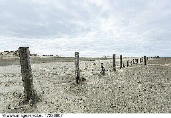 Denmark  Romo  Wooden groyne stretching along sandy beach