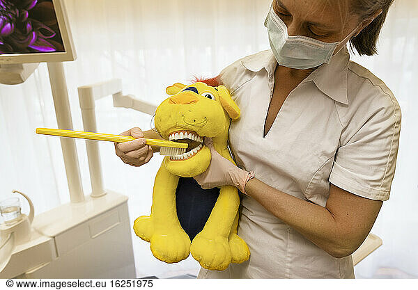 Dentist holding toy with teeth model