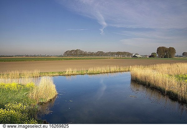 Der Bach Bakkerskil von der Schleuse Papsluis in der Nähe des niederländischen Dorfes Werkendam aus gesehen.