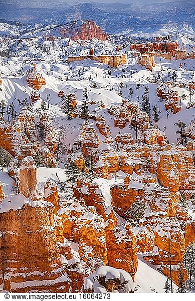 Der Bryce Canyon National Park ist mit Neuschnee bedeckt  Utah  USA.