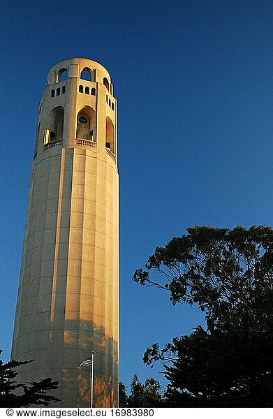 Der Coit Tower steht über einem Park auf einem Hügel in San Francisco.