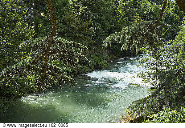 Der Fluss Passer fließt im Sommer durch einen grünen Wald
