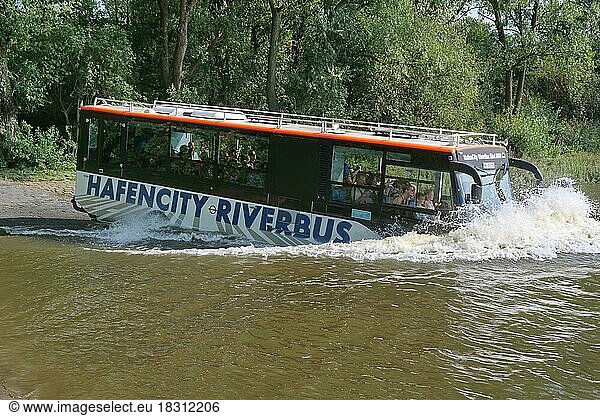 Der Hafencity RiverBus  eine Kombination aus Reisebus und Passagierschiff  taucht auf seiner Stadtrundfahrt über eine Rampe in die Elbe ein. Der Riverbus ist ein Amphibienfahrzeug  das eine Stadtrundfahrt mit einer Hafenrundfahrt verbindet. Hamburg  Deutschland  Europa