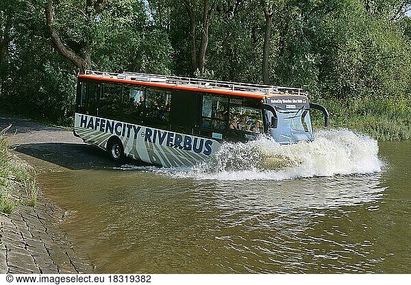 Der Hafencity RiverBus  eine Kombination aus Reisebus und Passagierschiff  taucht auf seiner Stadtrundfahrt über eine Rampe in die Elbe ein. Der Riverbus ist ein Amphibienfahrzeug  das eine Stadtrundfahrt mit einer Hafenrundfahrt verbindet. Hamburg  Deutschland  Europa