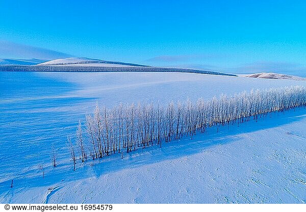 Der Hulunbuir Snow Farmland Schutzgürtel