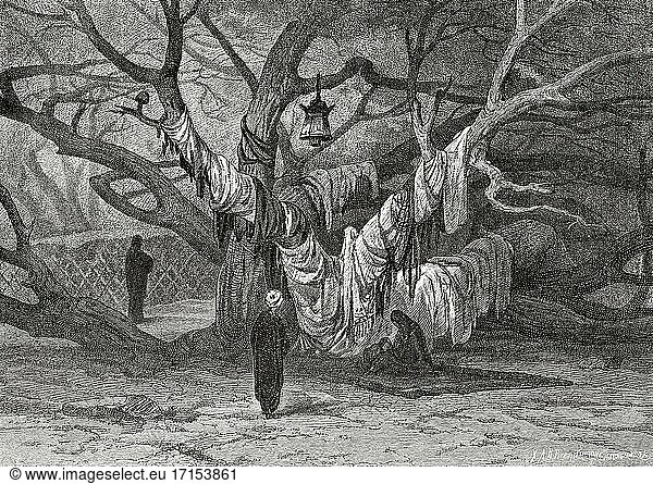 Der Ished-Baum ist ein heiliger Baum aus der ägyptischen Mythologie. Altes Ägypten Geschichte. Alte gestochene Illustration aus dem 19. Jahrhundert aus El Mundo Ilustrado 1879.