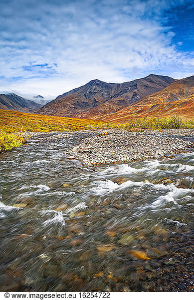 Der Kuyuktuvuk Creek und die Brooks Mountains in Herbstfarben unter blauem Himmel. Tore des Arktischen Nationalparks und Naturschutzgebietes  Arktisches Alaska im Herbst; Alaska  Vereinigte Staaten von Amerika