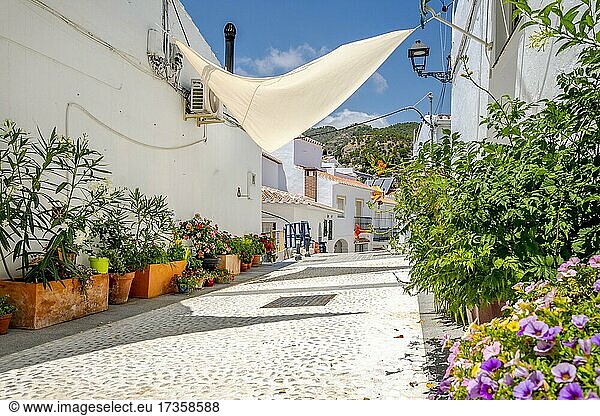 Der malerische Ort Frigiliana liegt in der bergigen Region von Malaga  Costa del Sol  Andalusien  Spanien  Europa