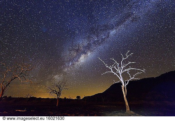 Der Nachthimmel der Milchstraße. Madikwe-Wildreservat. Nordwest-Provinz. Südafrika.