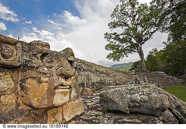 Der Osthof der Acrópolis vom Tempel 22 aus gesehen  Archäologischer Park Copán  Honduras  Mittelamerika