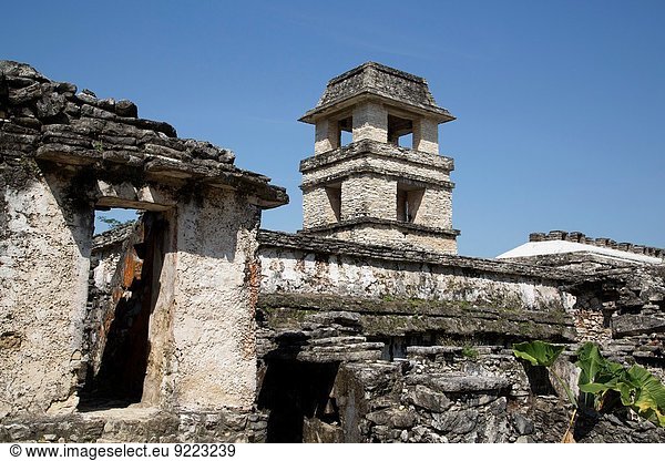 Der Palast Palacio Teocalli Mexiko Chiapas Palenque