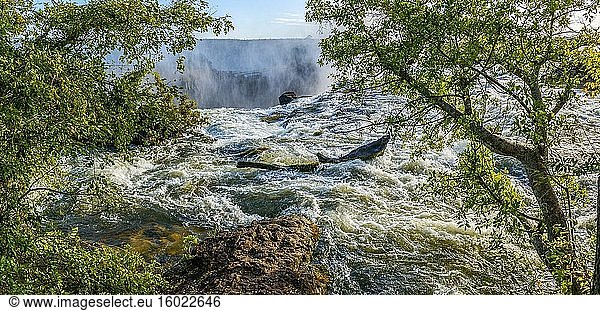 Der Sambesi-Fluss kurz oberhalb des östlichen Katarakts. Victoriafälle. Livingstone. Sambia.
